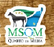MSQM - Núcleo Sul Matogrossense do Quarto de Milha