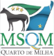 MSQM - Núcleo Sul Matogrossense do Quarto de Milha