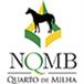 NQMB - Núcleo do Cavalo Quarto de Milha de Brasília NQMB - Núcleo do Cavalo Quarto de Milha de Brasília