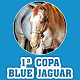 APA/MS - Associação de Apoio aos Esportes Equestres de Mato Grosso do Sul